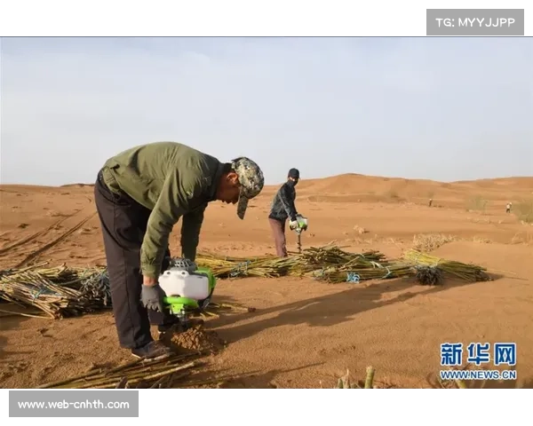 内蒙古敖汉旗少年发明治沙装置，利用冷凝原理自动浇灌树木